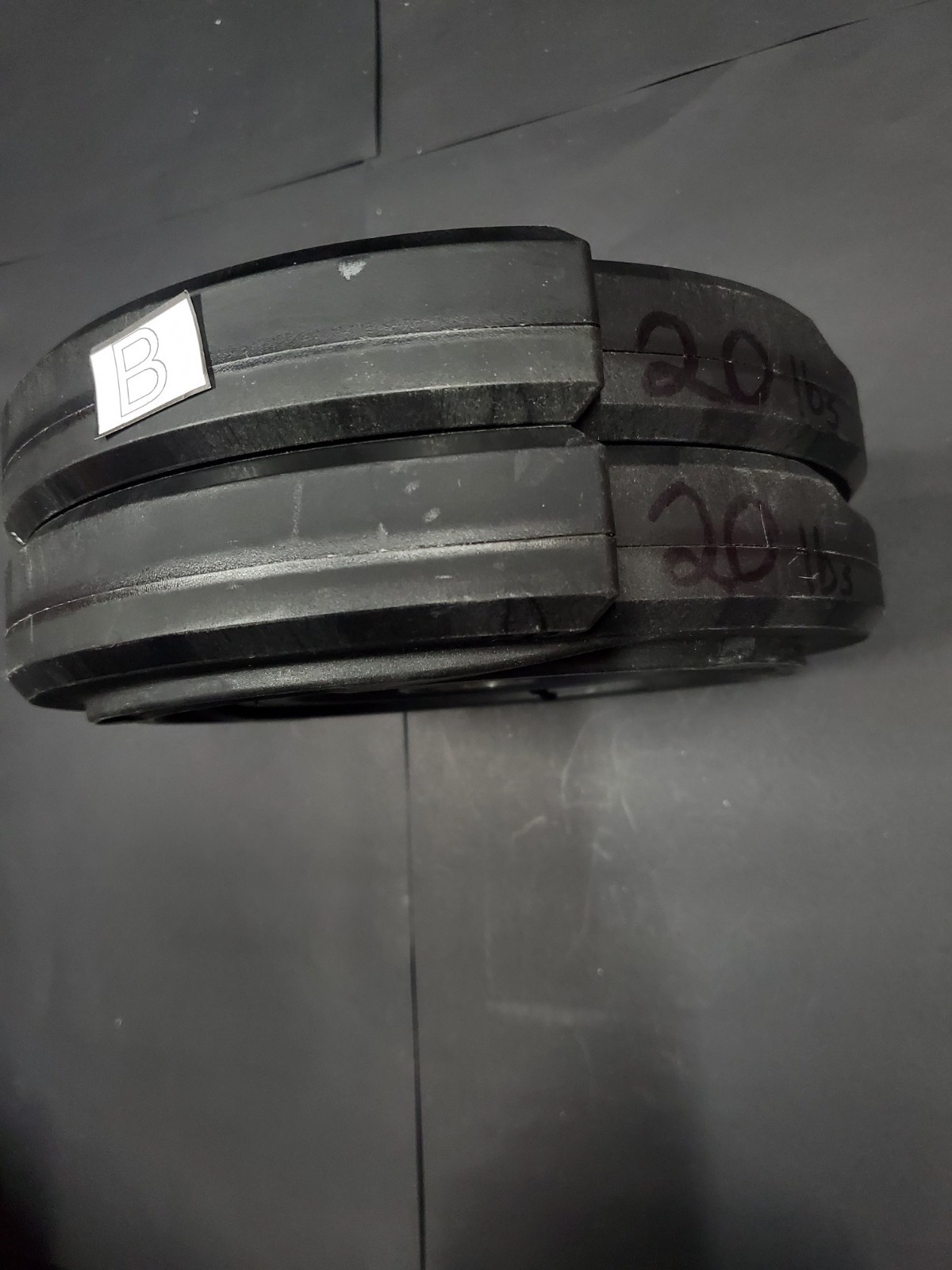 Bowflex Revolution 20lb Spiraflex Weight Plates Pair (40 lb Total)