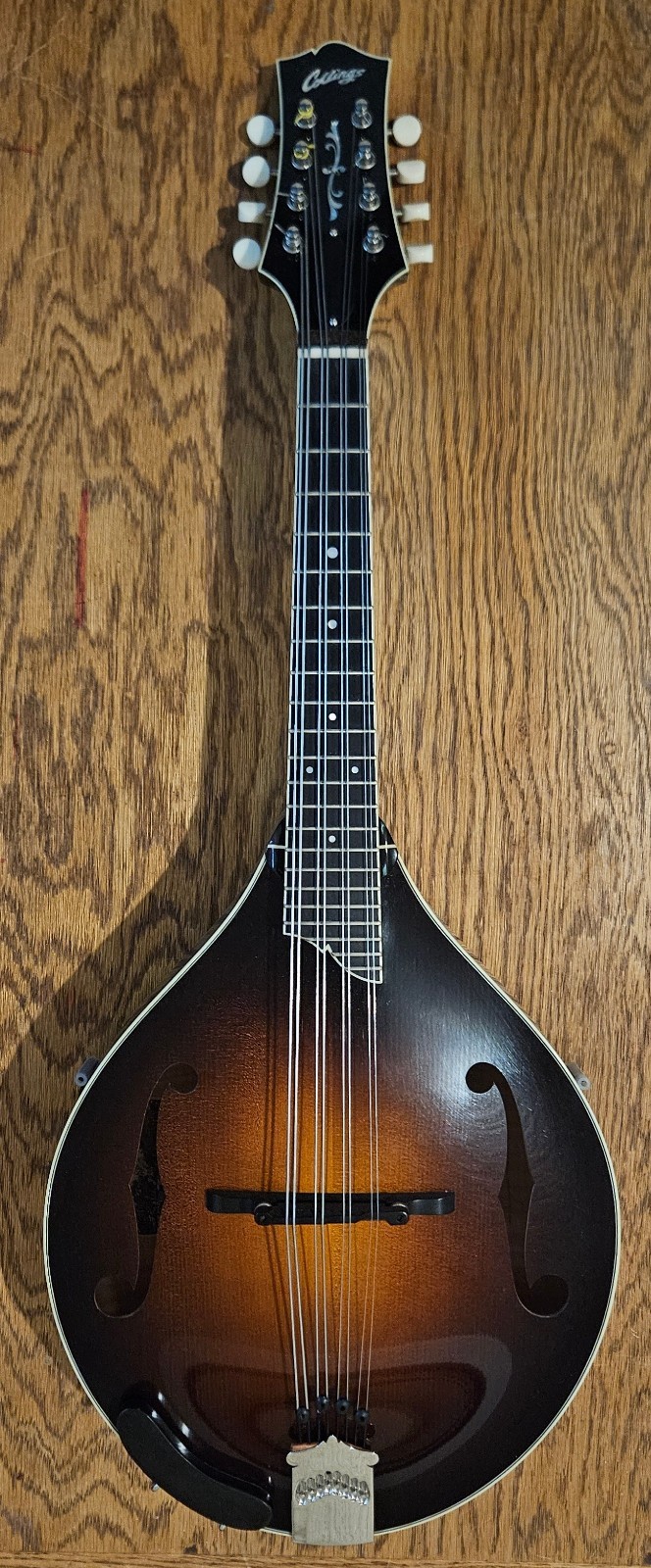 2011 Collings MT-2 Mandola, lightly used, w/Collings hs case