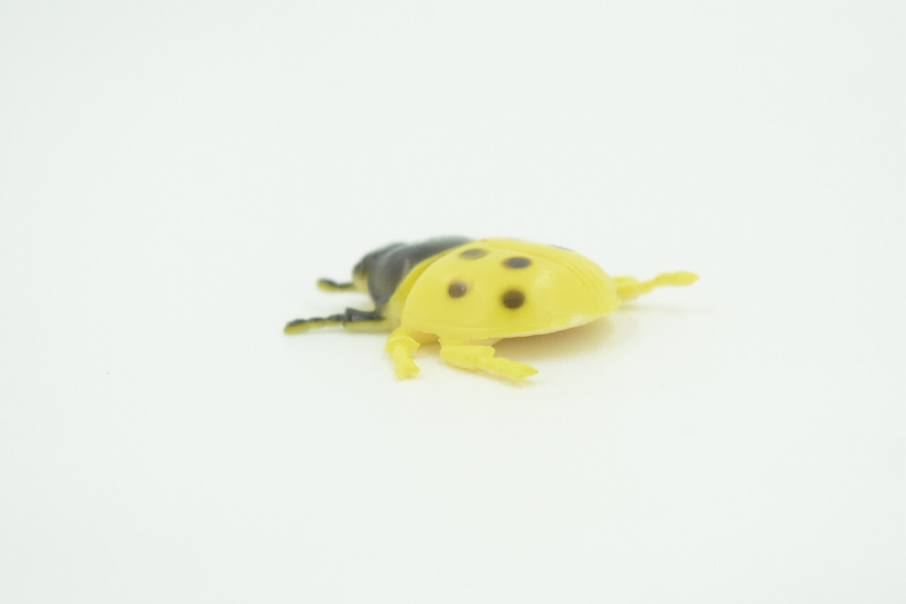 Yellow Ladybug Toy, Rubber Bug, Realistic Hand Painted Model 1 1/2" US20 B44