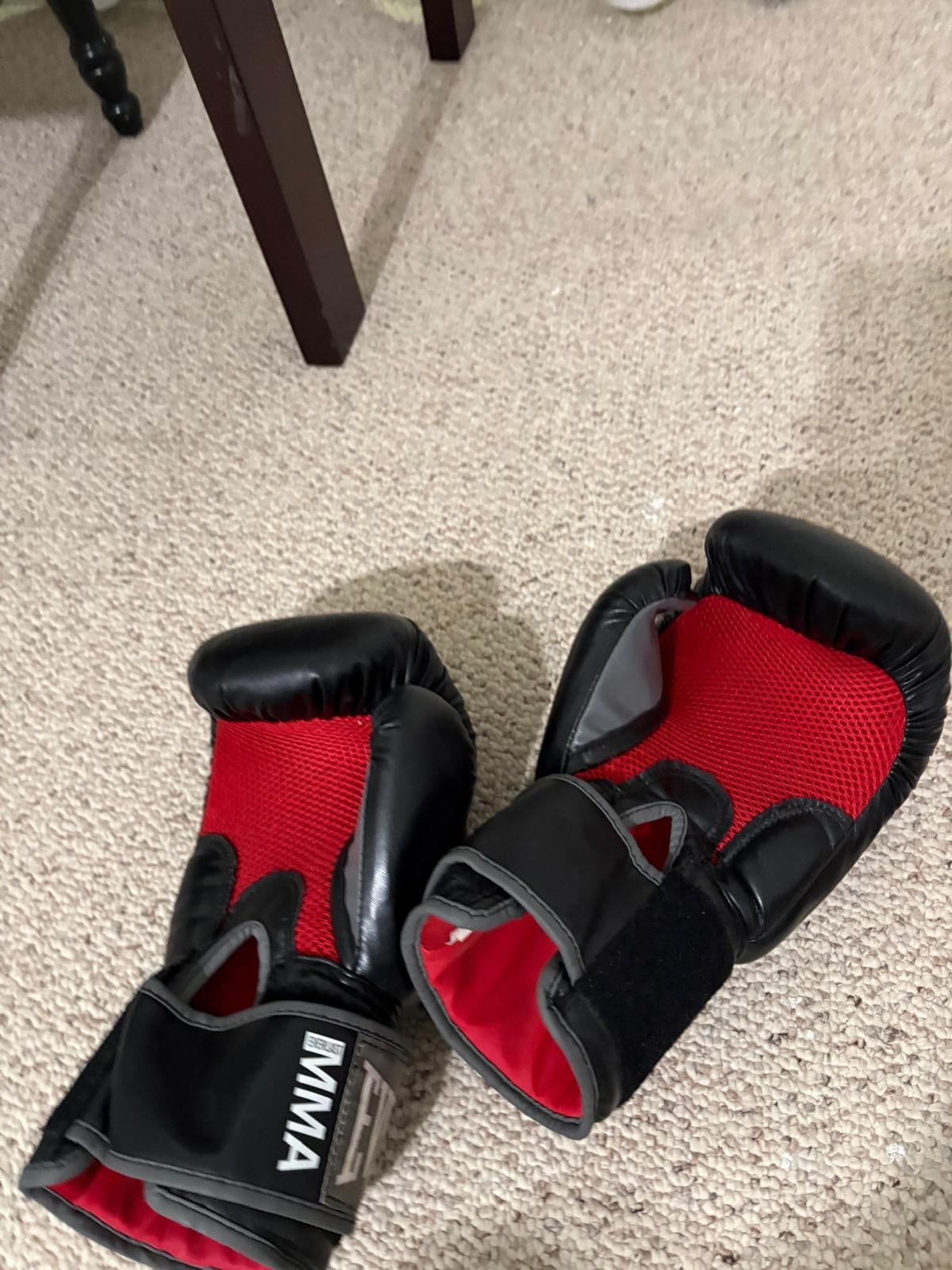 Everlast MMA Pro Style Gloves