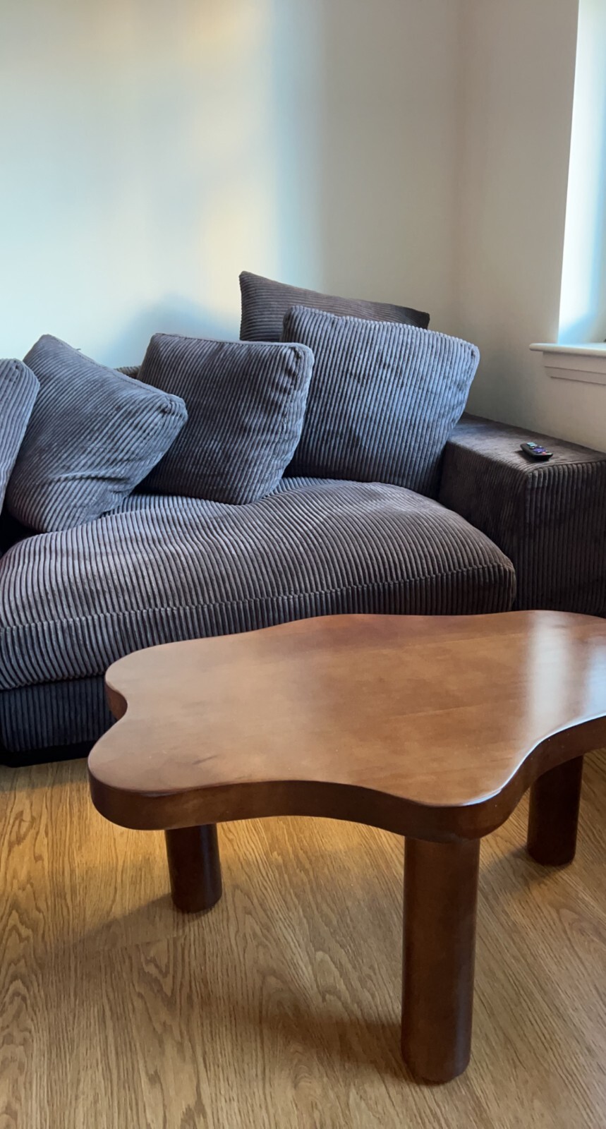 new brown couch sofa living room