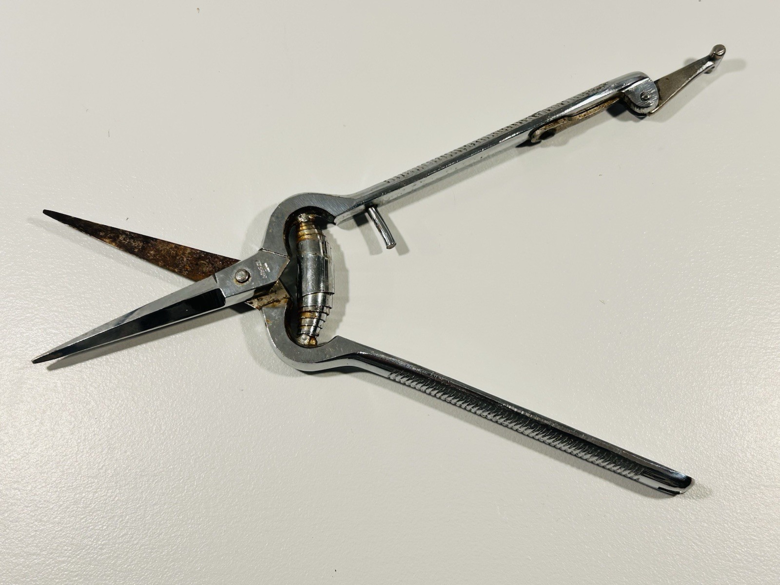 Vintage Japanese Poultry Shears Spring Hinge Kitchen Scissors