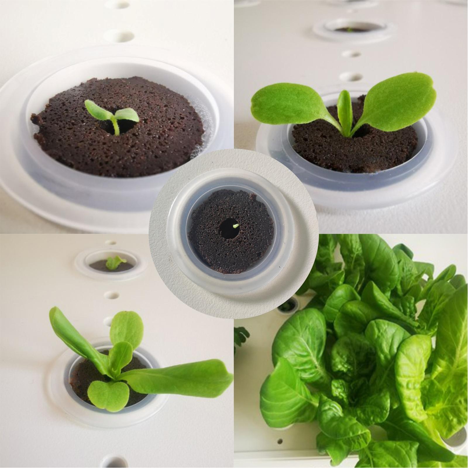 Grow Sponge Hydroponics Replacement Seed Starter Pods Plug Root Growth Kit