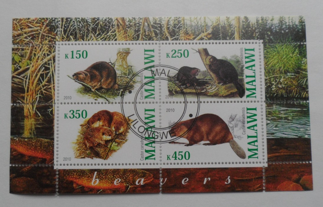 STAMPMART : MALAWI 2010 BEAVERS WILDLIFE ANIMALS CTO USED SOUVENIR SHEET