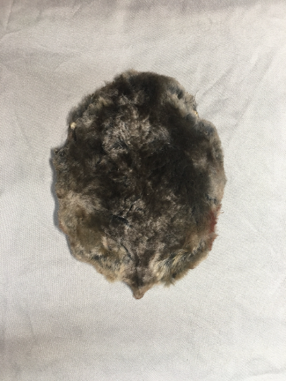 1 Mole Skin (raw/dried) MO-1