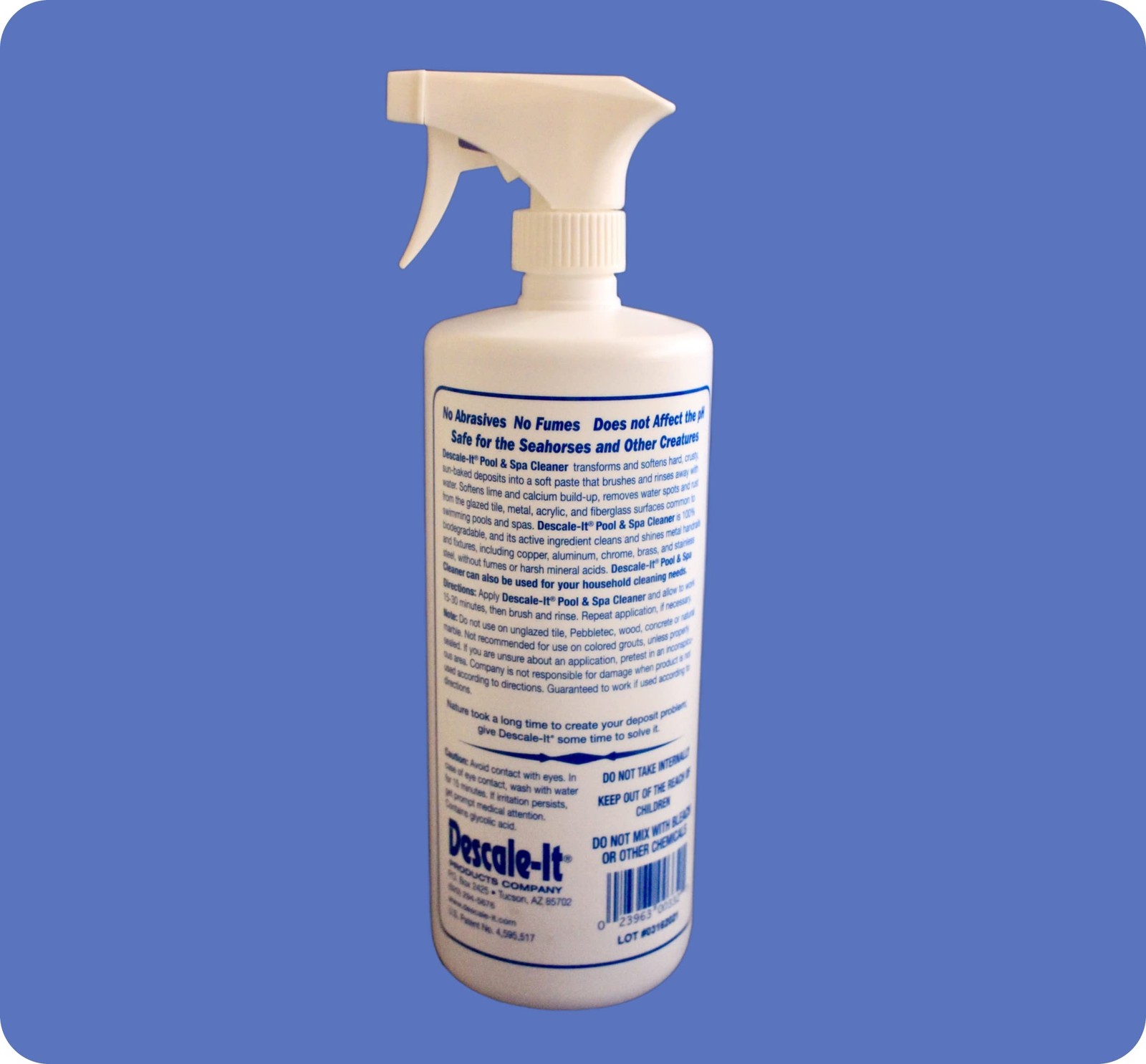 Descale-It Pool & Spa Cleaner 32 FL Oz