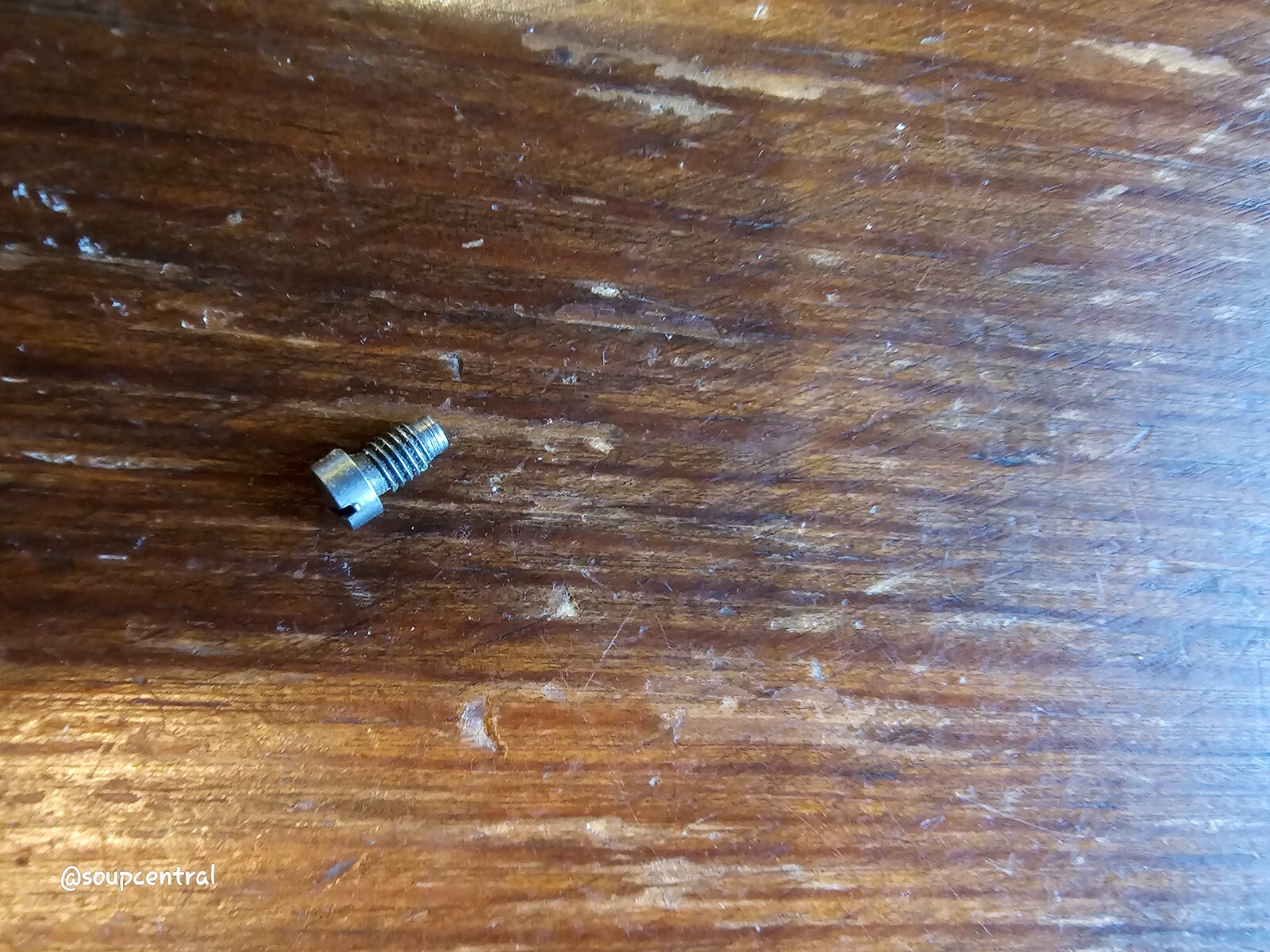 Rossi revolver crane yoke screw. SS Interarms era. Head diameter .159"