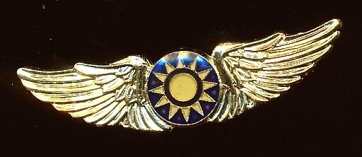 FLYING TIGER WING AVG HAT LAPEL PIN MINI WORLD WAR 2 VETERAN PILOT 1.5"