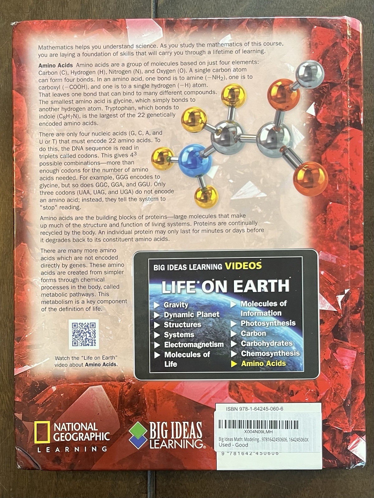 Big Ideas Math Modeling Real Life Grade 7 Accelerated (2019 Hardcover) GOOD