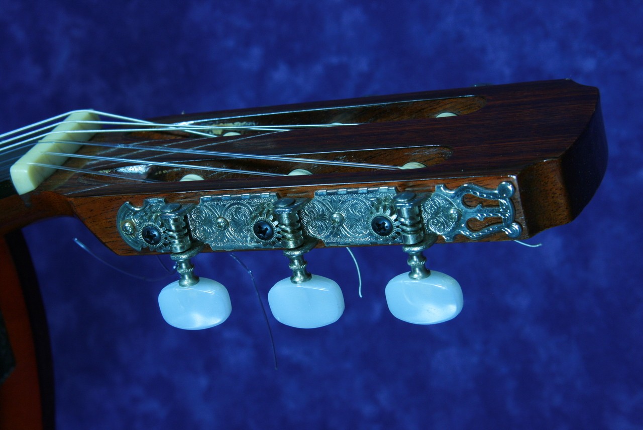 PEPE P-55 / (no251207)