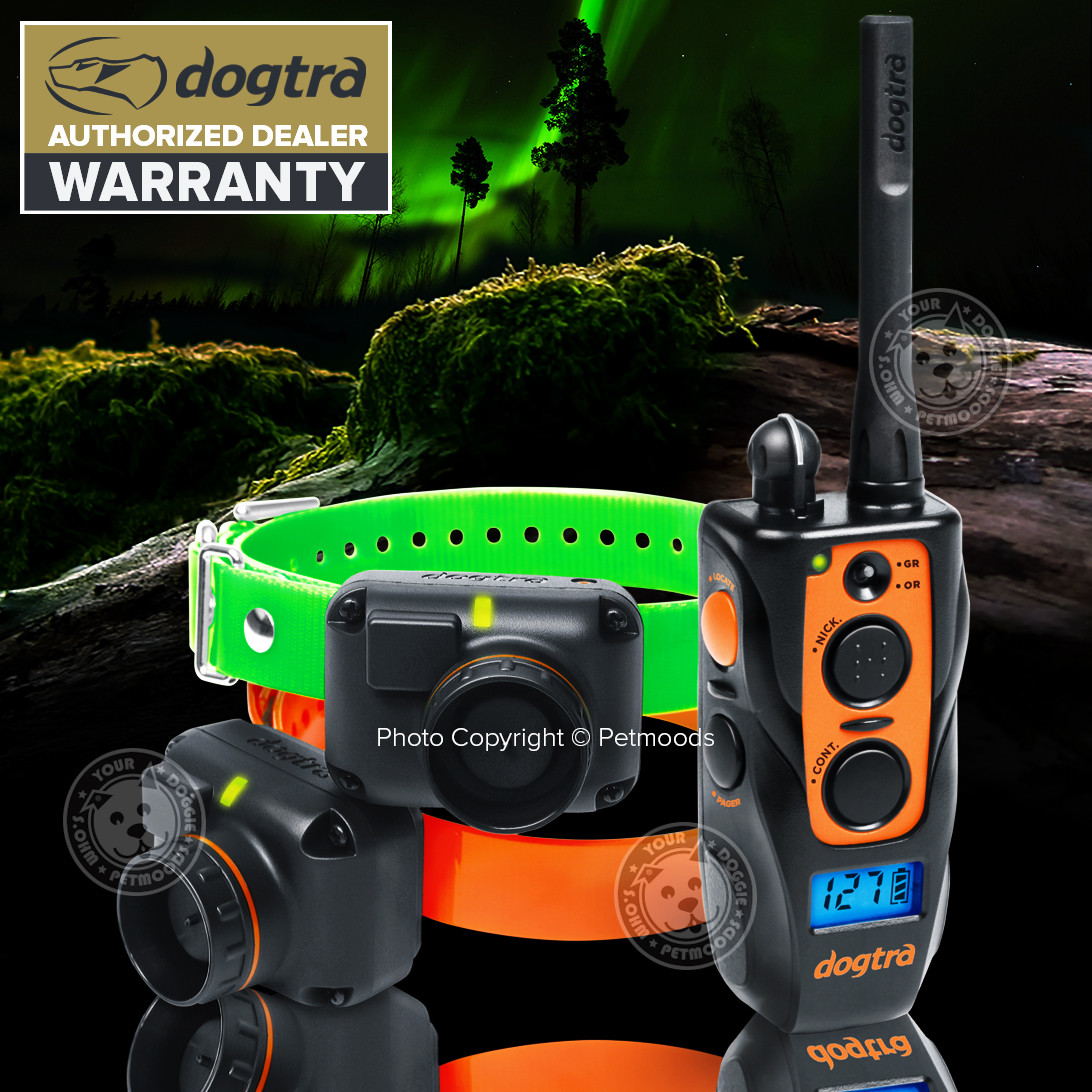 Dogtra 2702T&B Remote 2-Dog Training Beeper Collars Trainer System Train & Beep