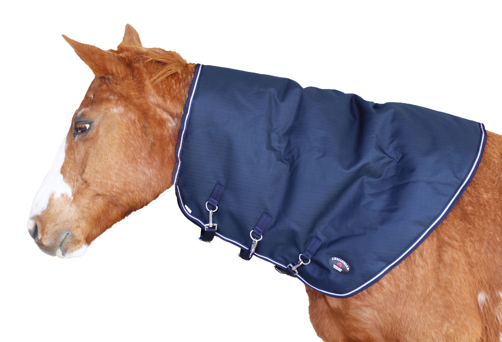 Large Horse 1200D   Waterproof Winter Mane Neck Cover 52022