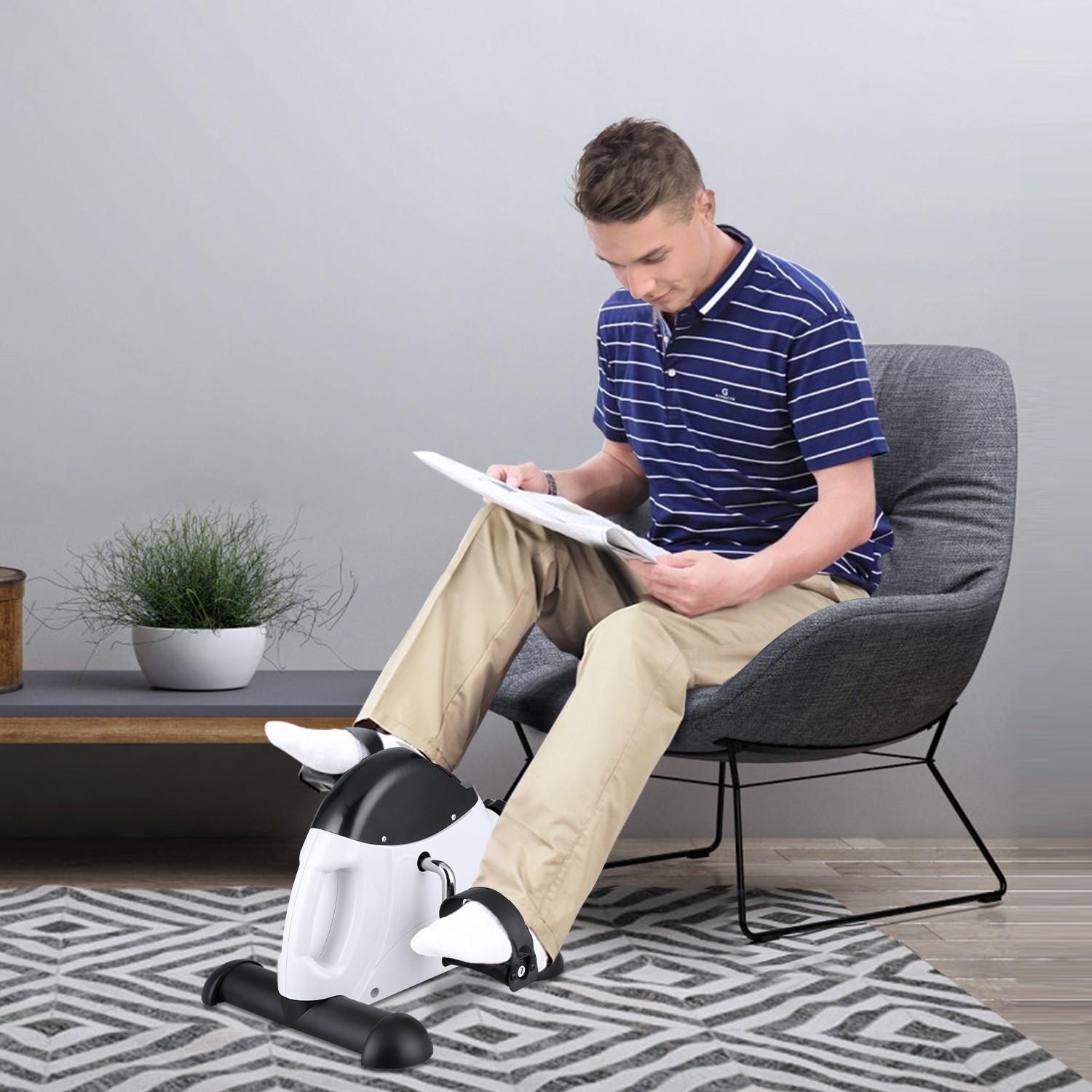 Evoland Mini Exercise Bike Under Desk w/LCD Display, Arm & Leg Pedal Exerciser