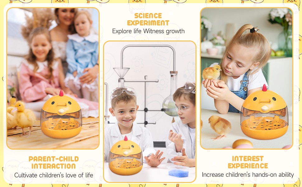 Eggs Incubator Practical Chicken Incubator for Hatching Parrots Goose
