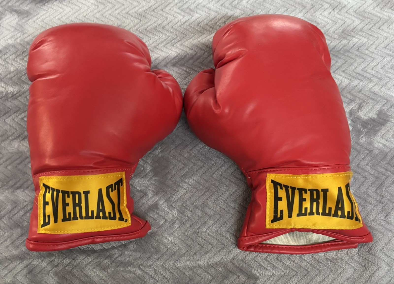 Everlast Boxing Gloves Youth S/M Training Sparring Martial Arts