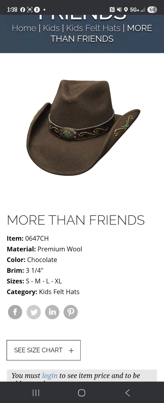 Bullhide Kids More Than Friends Chocolate Small Brim 3 1/4"  Nwt Item 0647CH