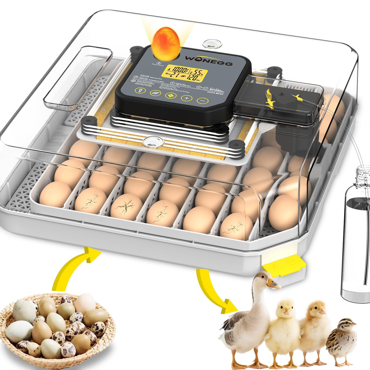 48-Egg Automatic Incubator for Chickens, Ducks, Geese & Quail - Home & Farm Use