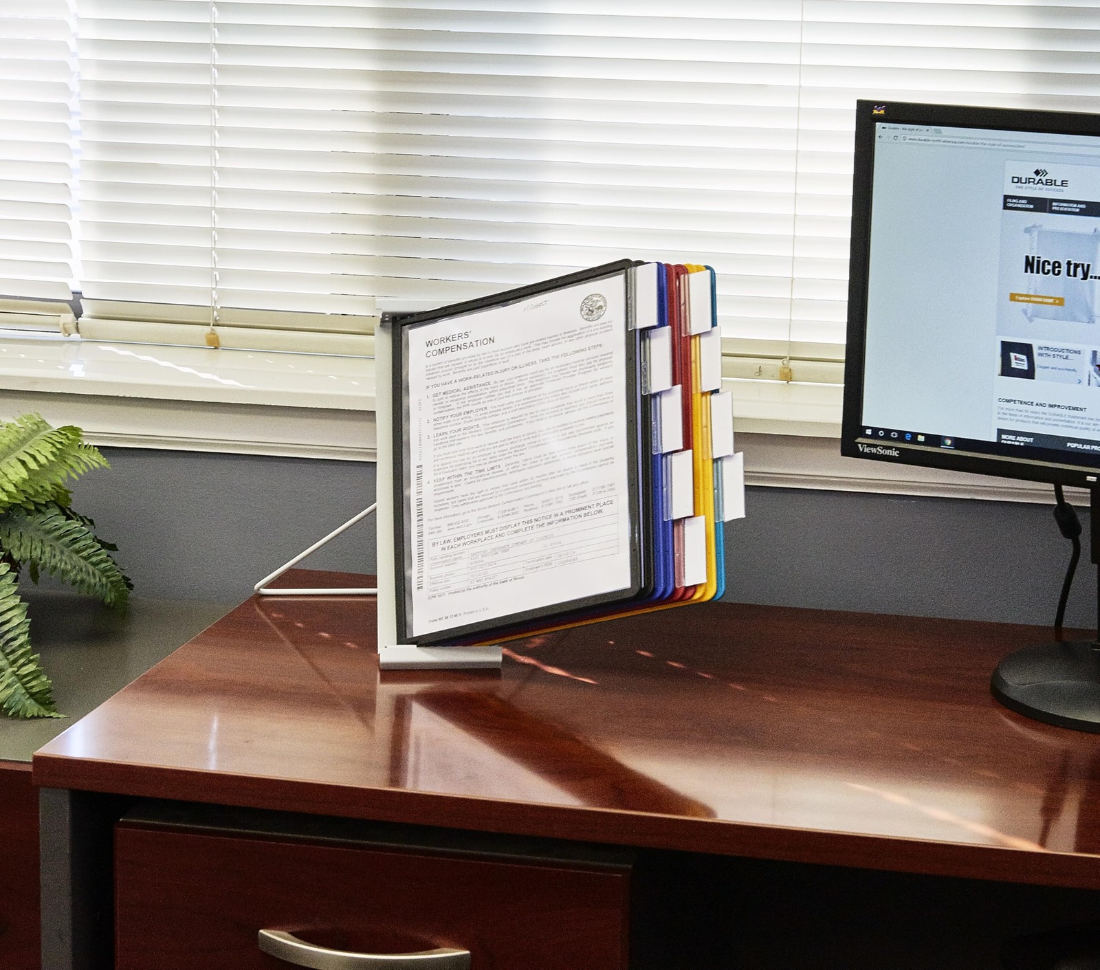 Durable Instaview20 Desktop Reference System, Letter Size, 10 Pockets