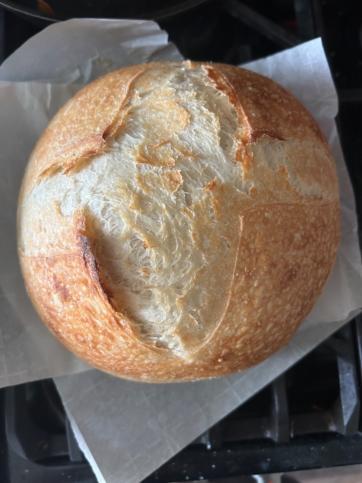 Dehydrated Sourdough Starter