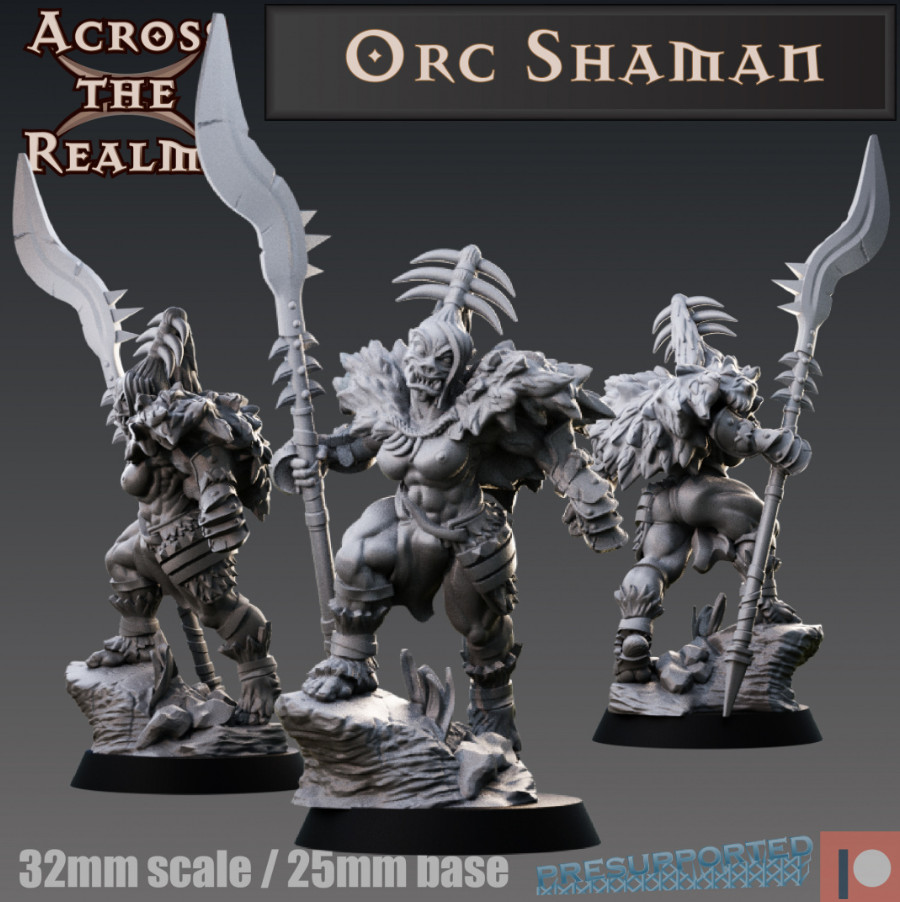 DnD Orc Shaman