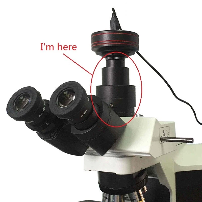 0.35X 0.5X1X C-Mount Camera Adapter Reduction Lens Trinocular Olympus Microscope