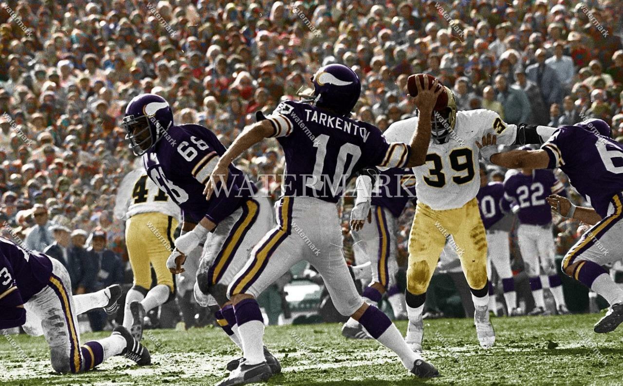 DW9 Fran Tarkenton Minnesota Vikings Football 8x10 11x14 16x20 Colorized Photo