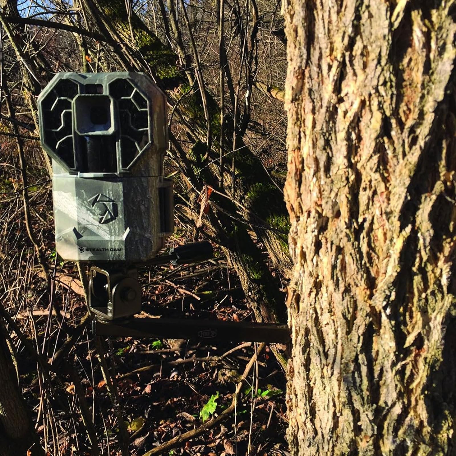 Trail Camera Holder Tree Mount with 360-degree Rotational Camera Head | Compa...