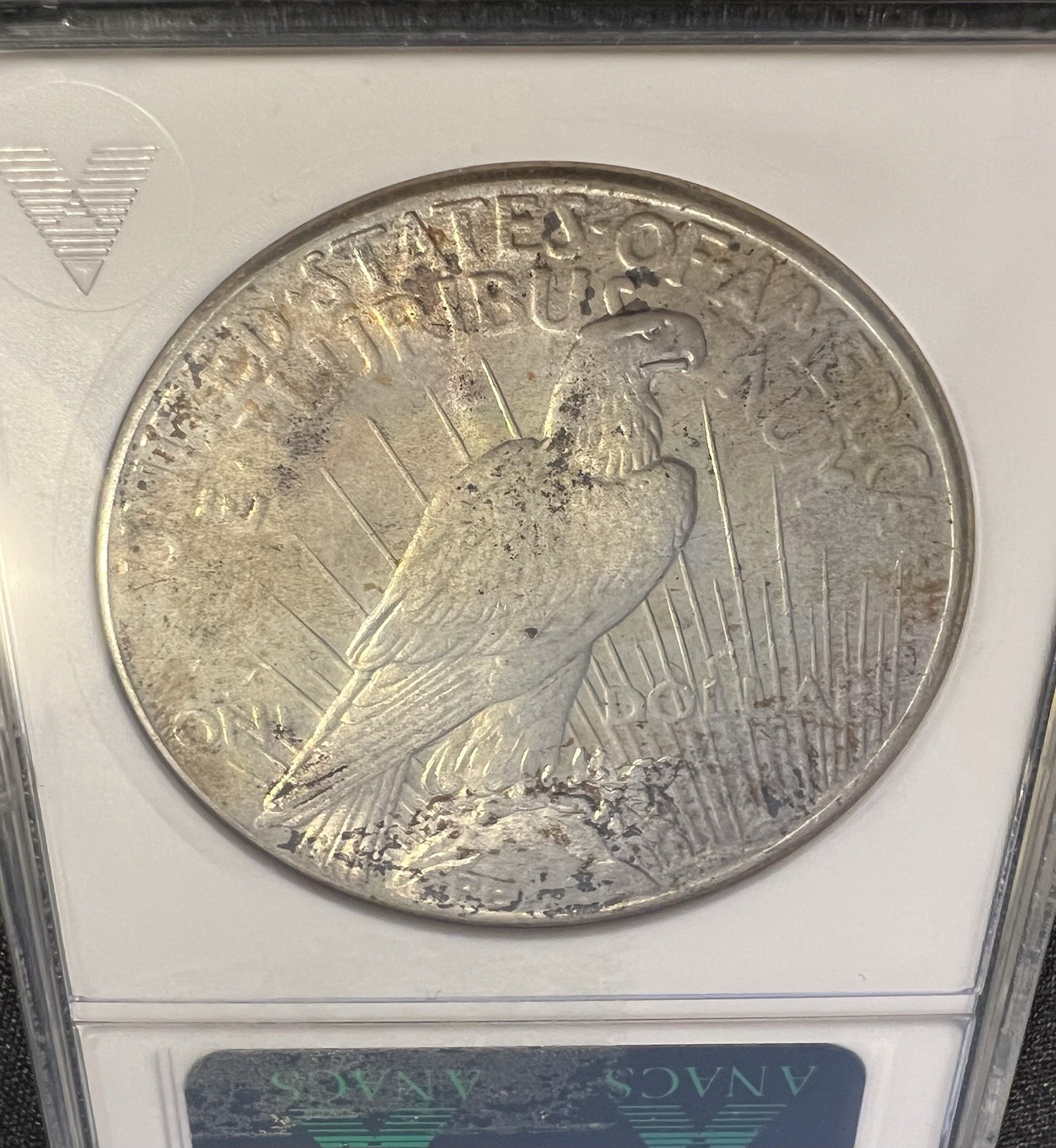1925-P Peace Silver Dollar -- ANACS MS64 -- old Soapbox Holder!