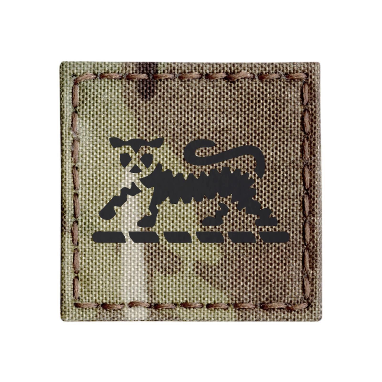 IR British UK PWRR Tigers multicam Princess Wales badge MTP TRF Royal patch