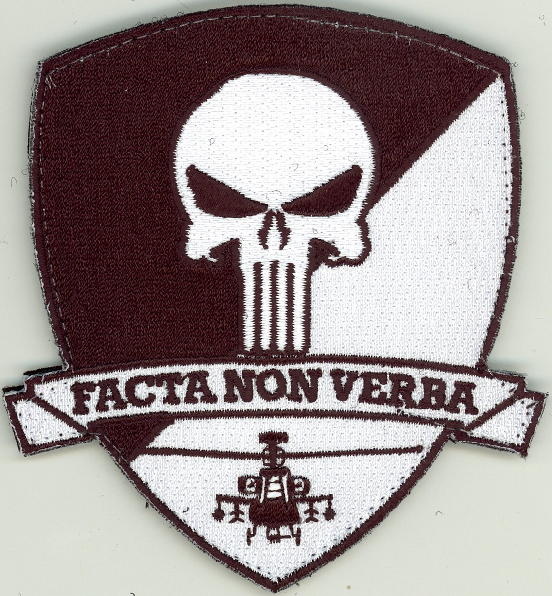 US ARMY C Co. 1-149th Attack Reconnaissance Battalion Punisher PATCH