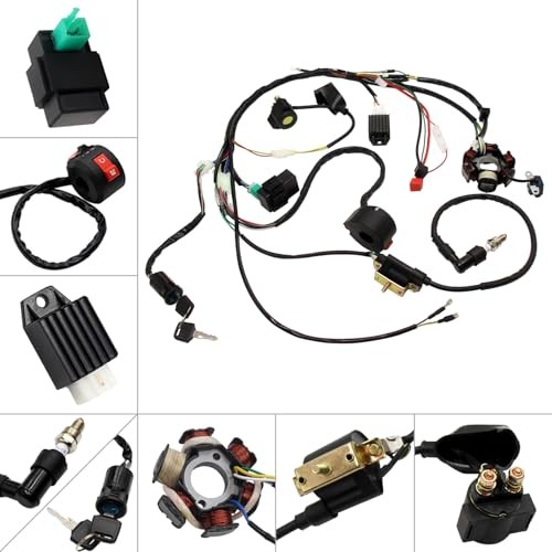 Complete Electric Wiring Harness CDI Stator for Chinese ATV UTV Go Kart Taotao