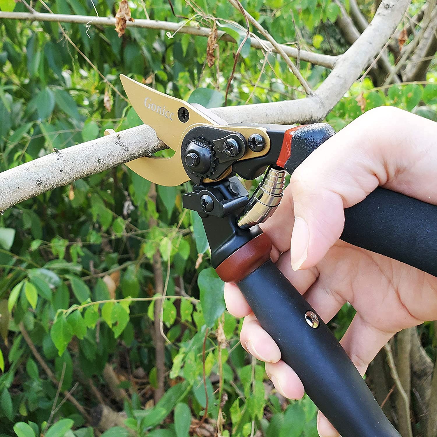 gonicc 8.5" Professional Golden Rotating Titanium Bypass Pruning Shears