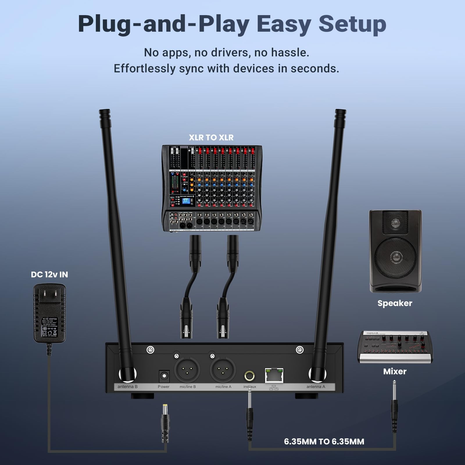 BASN Wireless Two Microphone System with UHF Dual-Channel Black & White