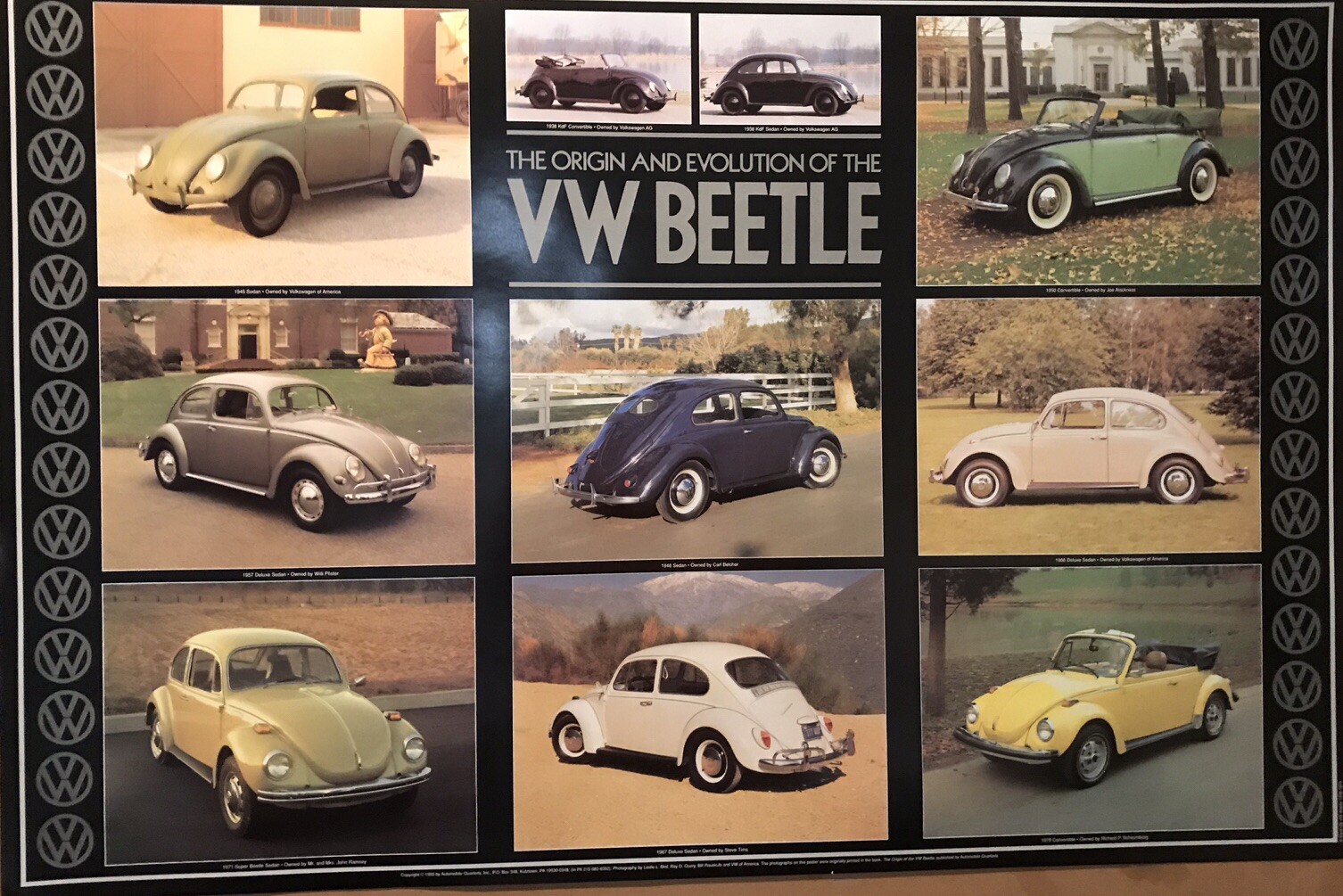 VW-Beetle-1938-1979 Origin & Evolution Of The VW Beetle Rare Version Car Poster!