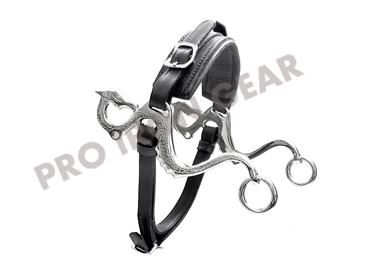 DRAGON Hackamore Bitless Horse Bit English Western Adjustable Leather (BLACK)