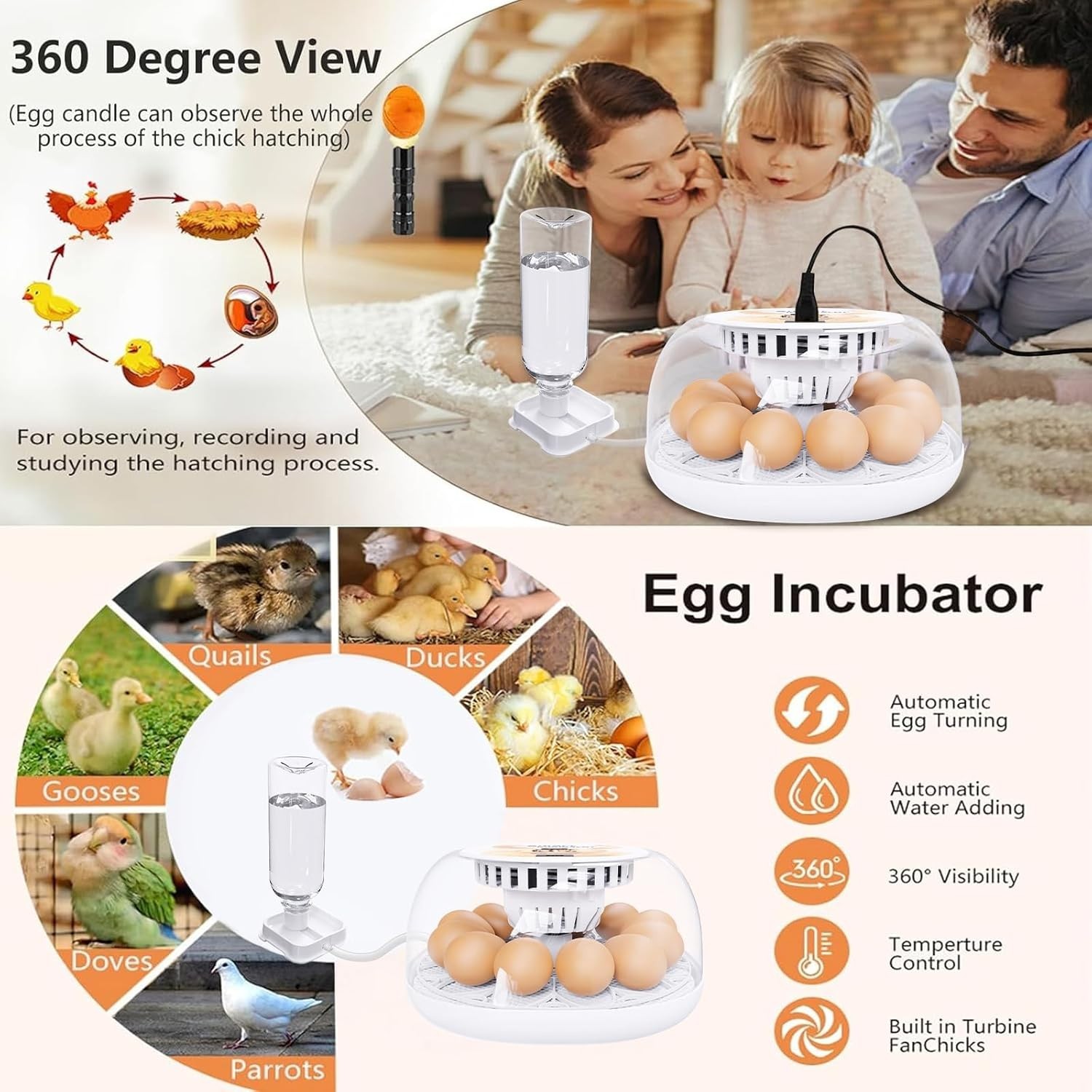 12 Egg Incubator w Automatic Turning & Temperature Control for Poultry Hatching