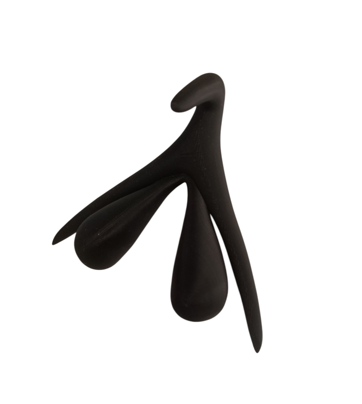 3D Printed Clitoris Anatomy Model • Educational Science Display • Learning Tool