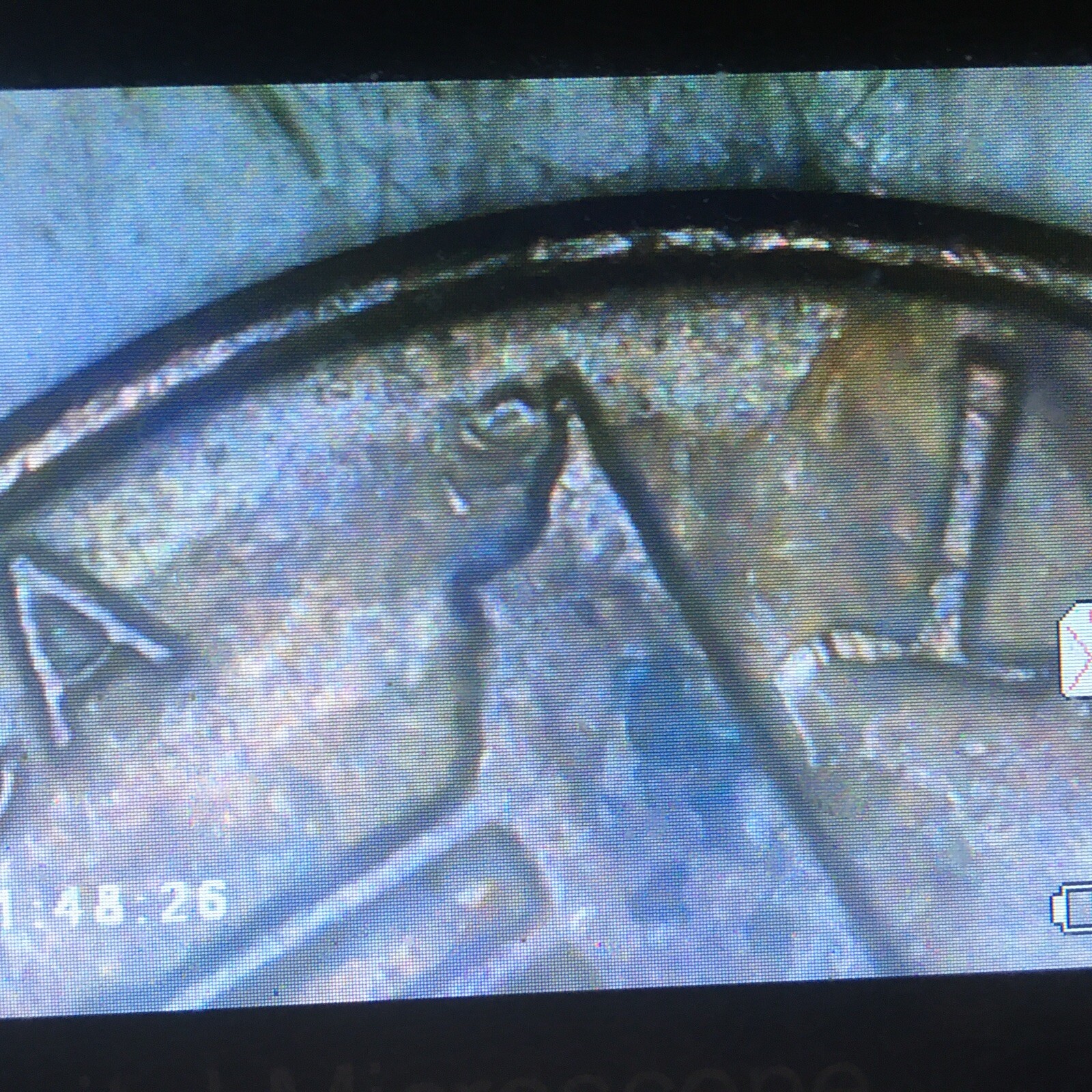 1982p Error Cent~Large date w/Weak FG