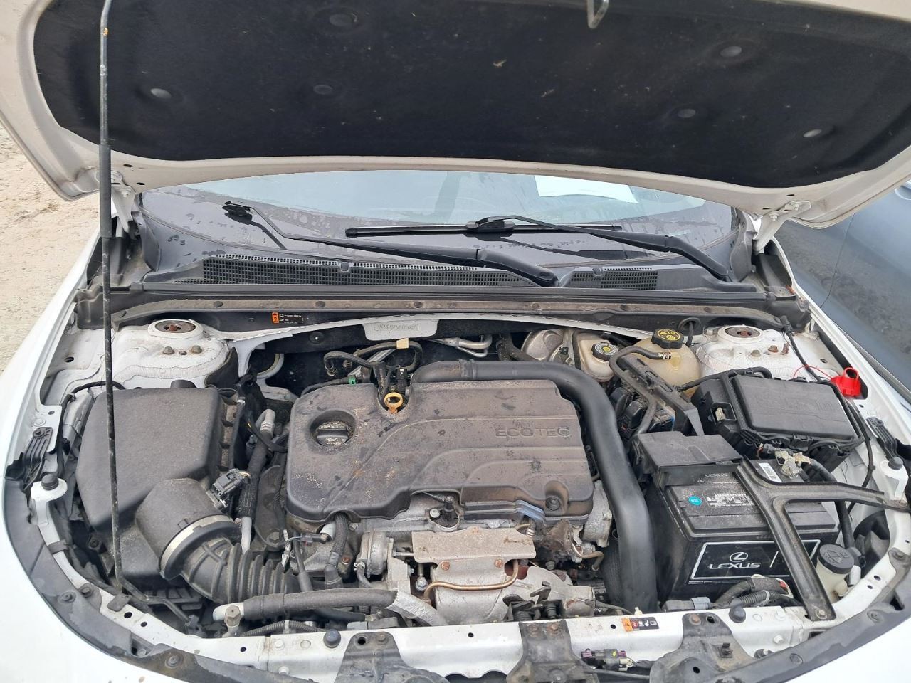 MALIBU 2018 Glove Box 5008860