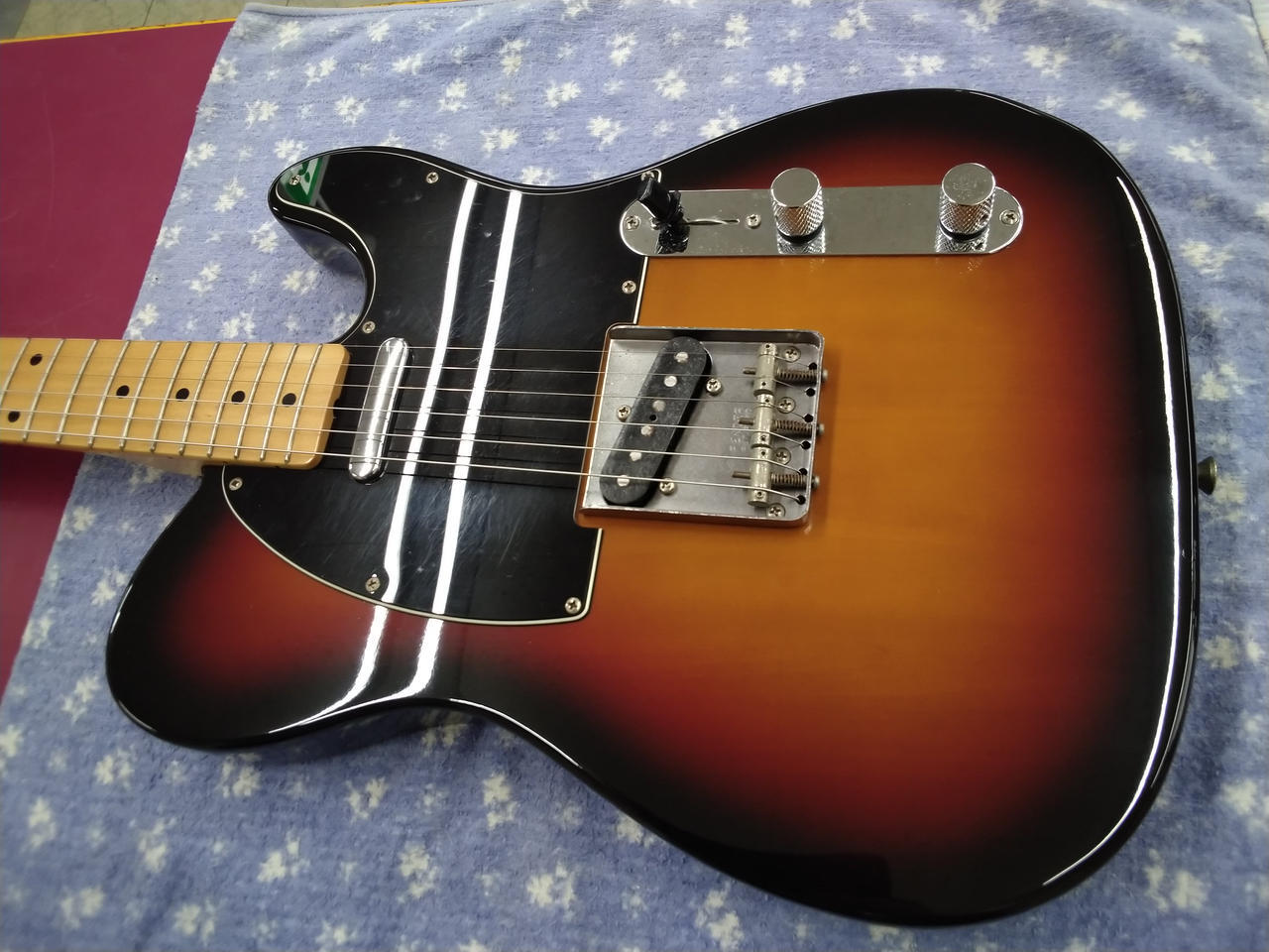 FENDER JAPAN / TL72-53 (NO241106)