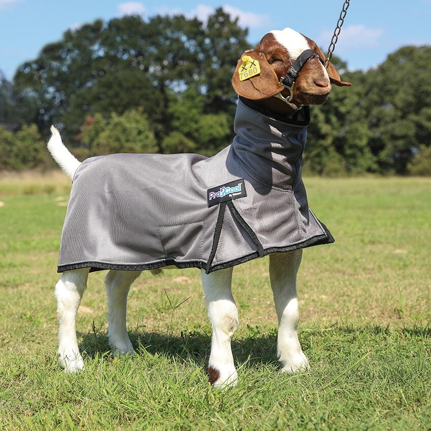 Procool Goat Blanket Xsmall Lime