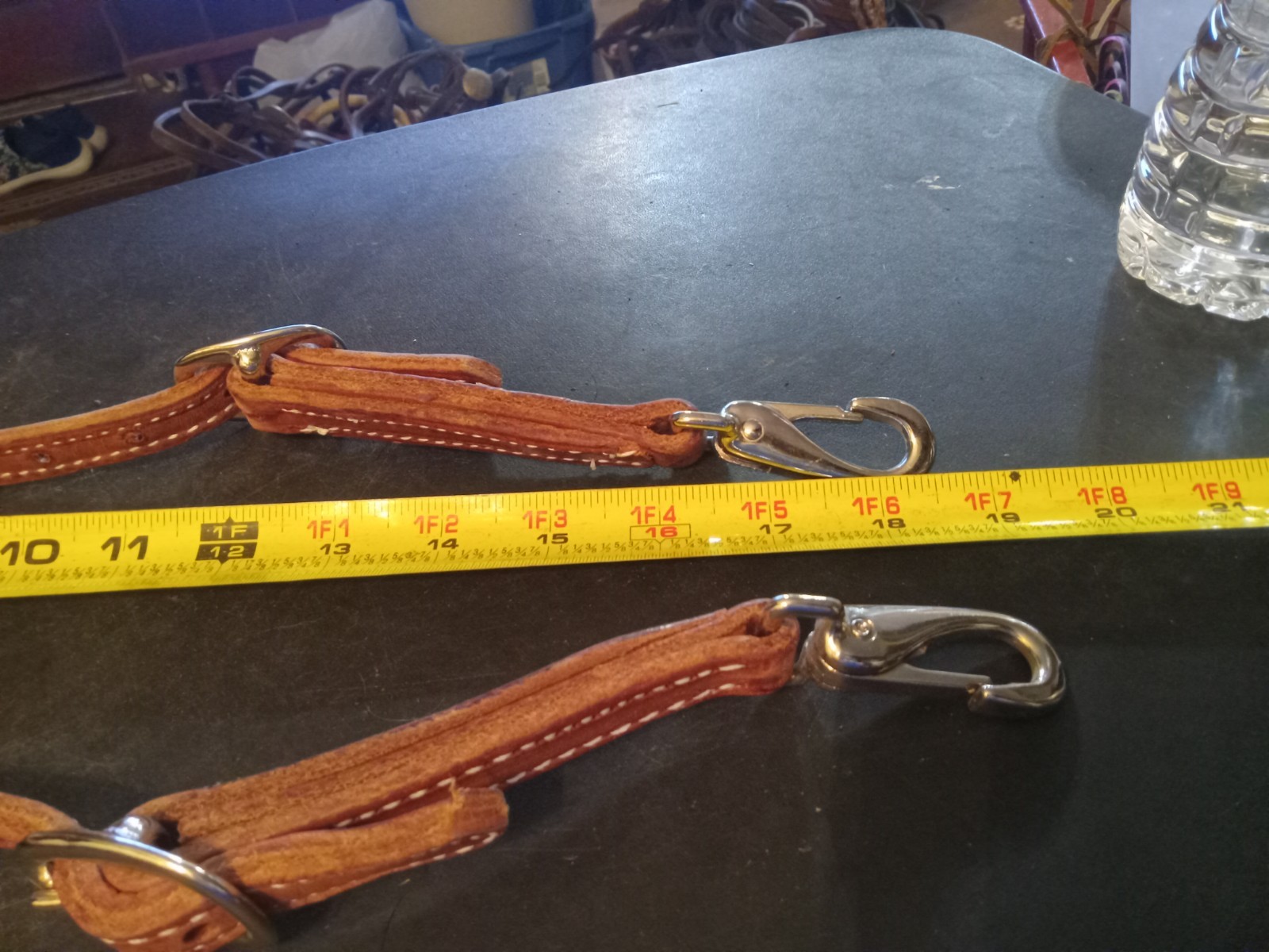 new tory training headstall nwot