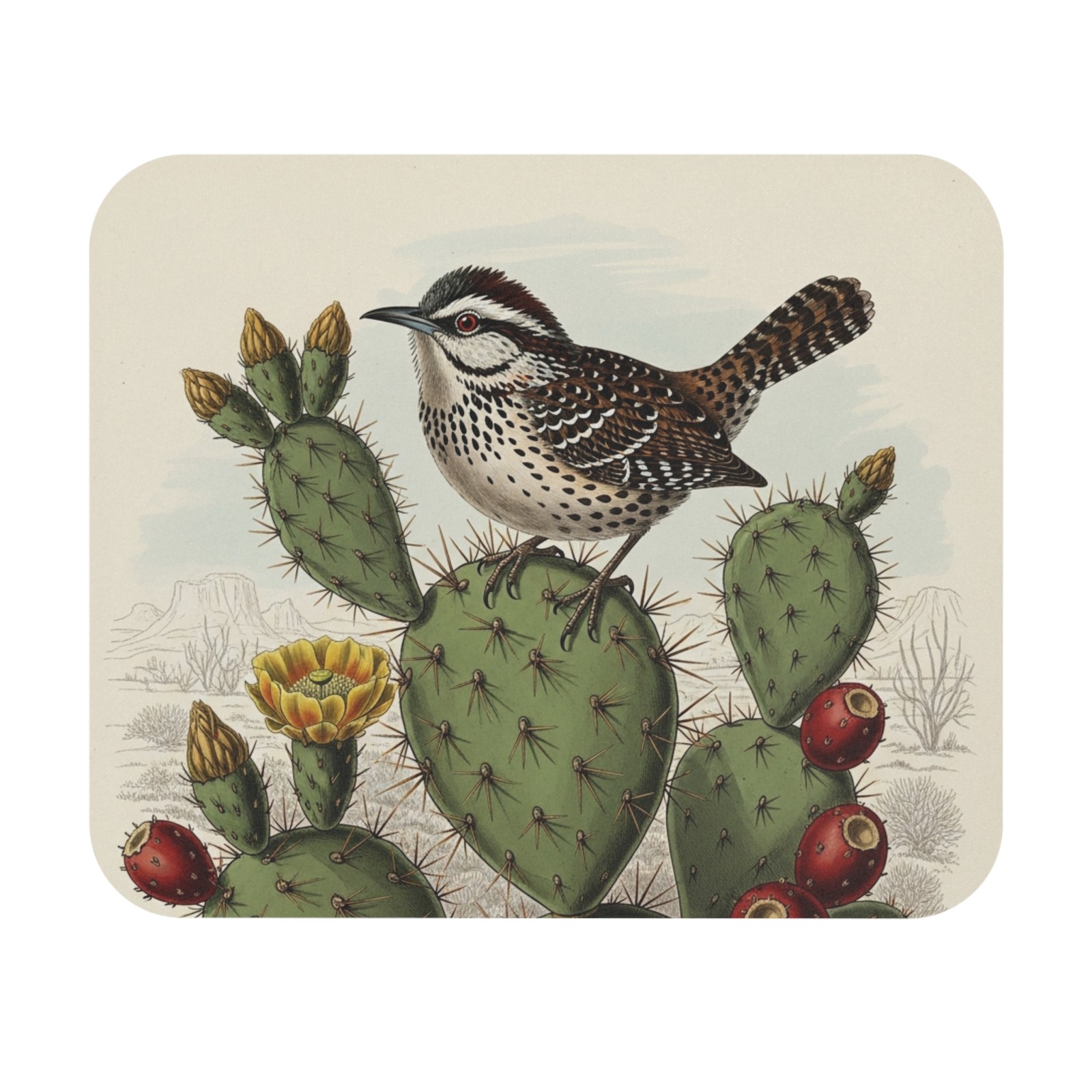 Cactus Wren Mouse Pad bird watcher avian desk office nature