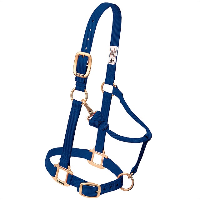 68WL Weaver Navy Green Horse Nylon Heat Sealed Buckle Halter Adjustable Small