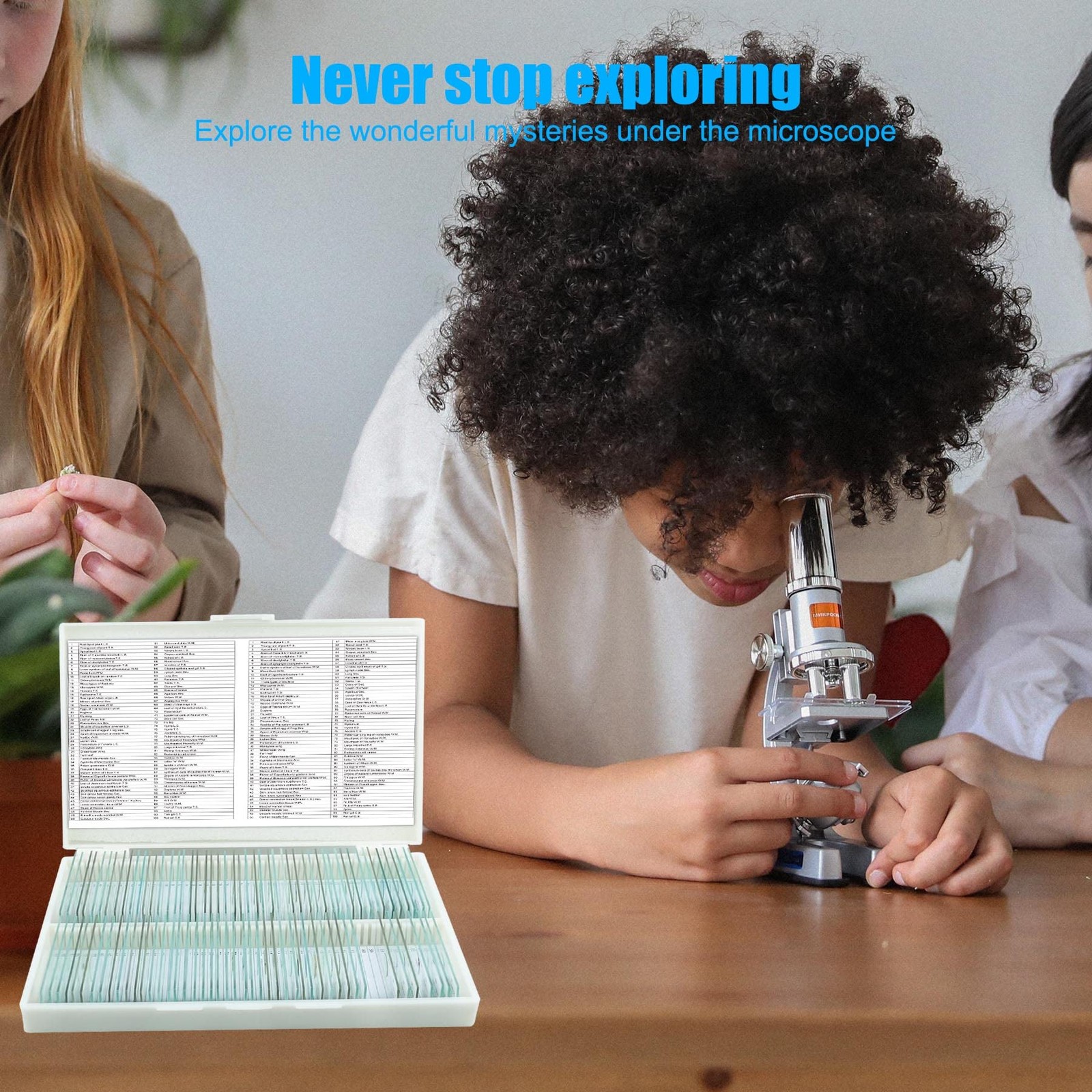 Prepared Microscope Slides 100pcs