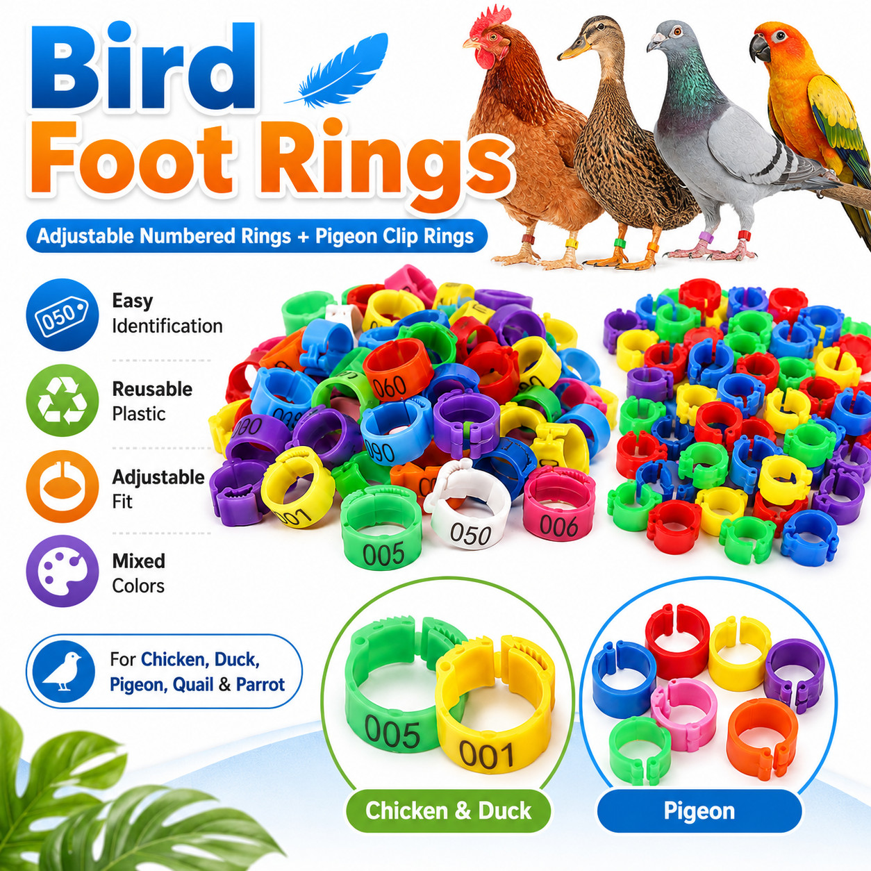 Leg Click Clips Rings for Foot Birds Chick Duck Quail Pigeon Parrots