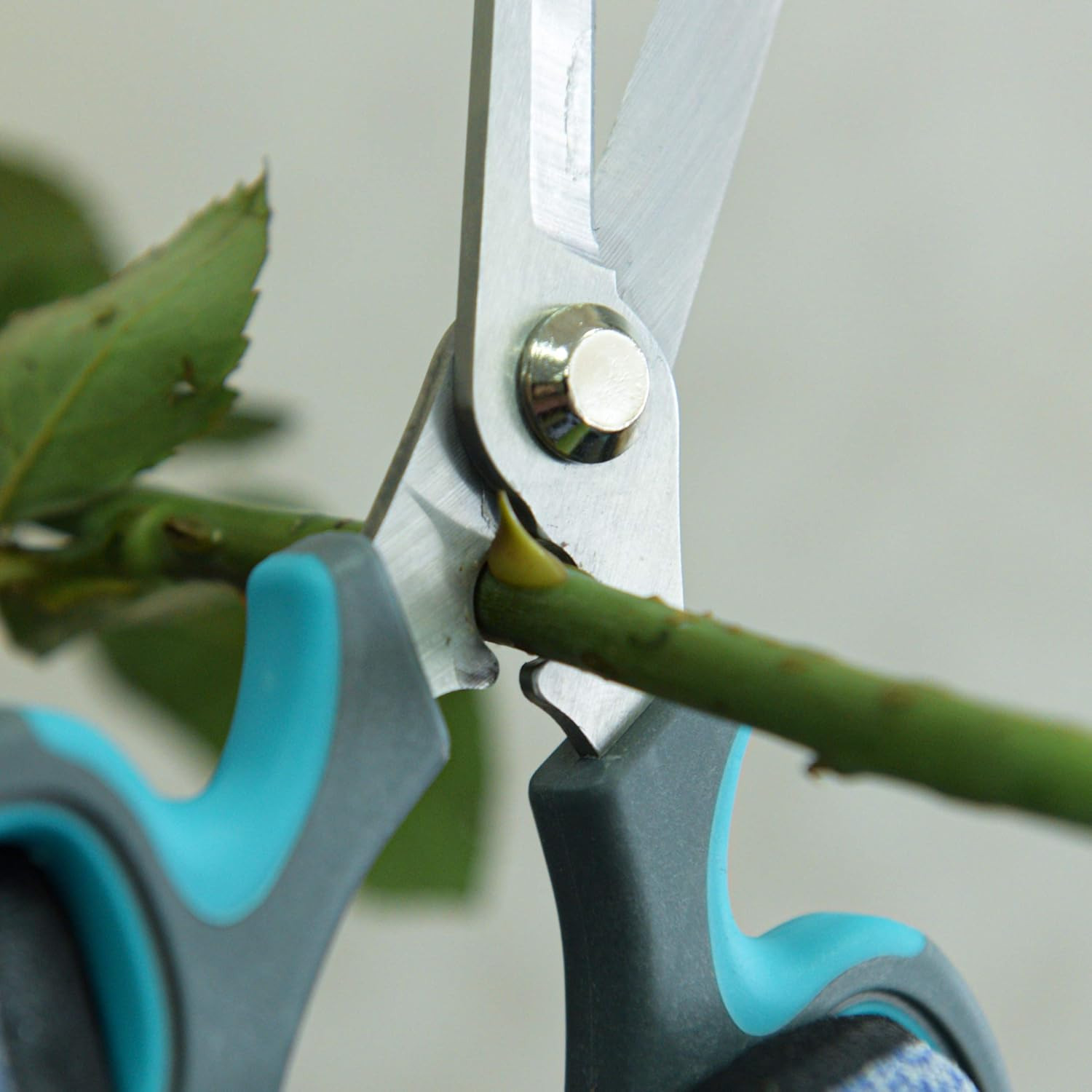 Garden Shears Pruner Secateurs Pruning Scissors Flower Sharp Gardening Ha