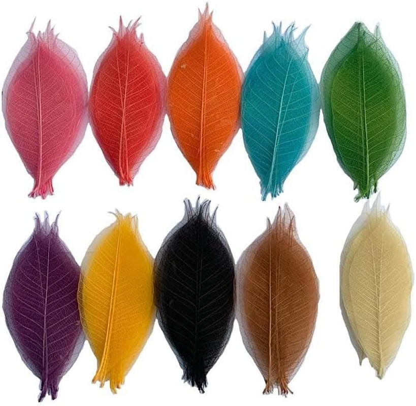 Natural Skeleton Leaves 100 PCS, Real Rubber Tree Leaves 4-5 Inch for Resin Art,