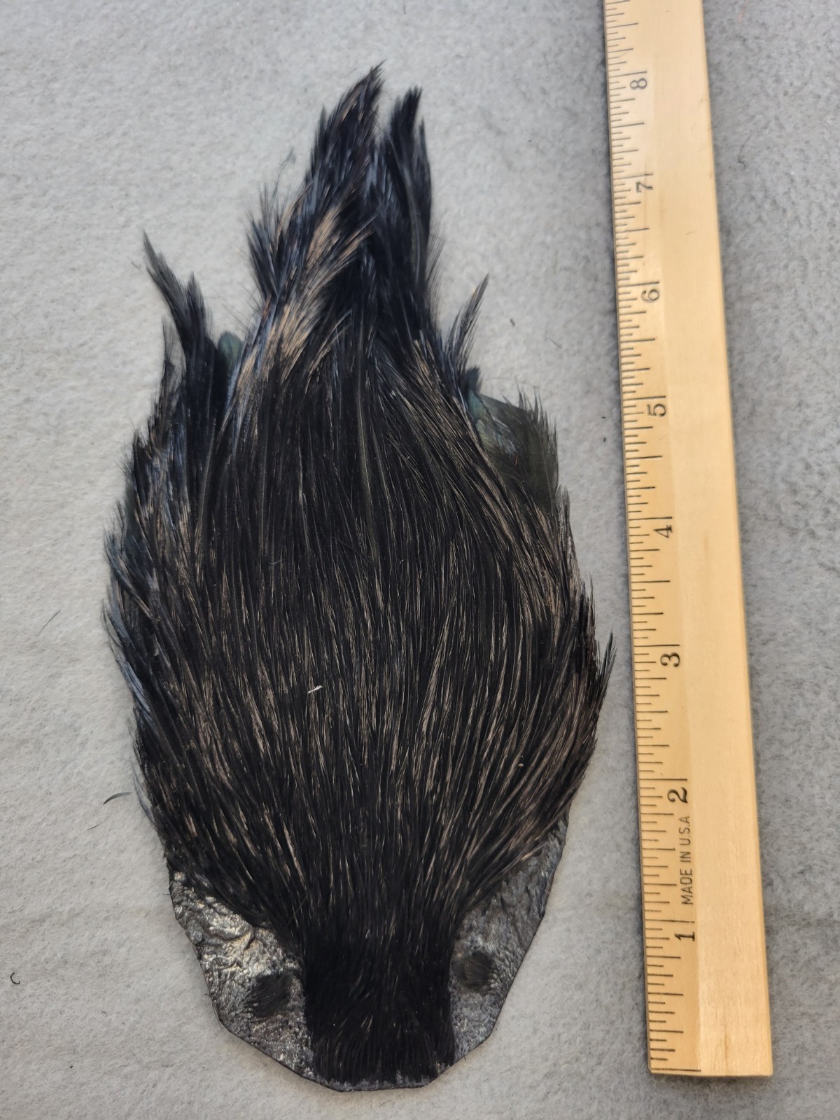 Lot 170,  Grade B,  DYED BLACK India Rooster Streamer Neck Cape Feathers