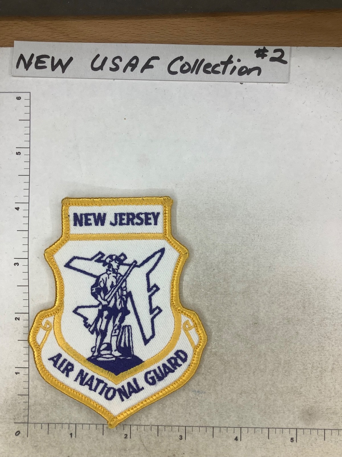 USAF NEW JERSEY AIR NATIONAL GUARD SQUADRON PATCH